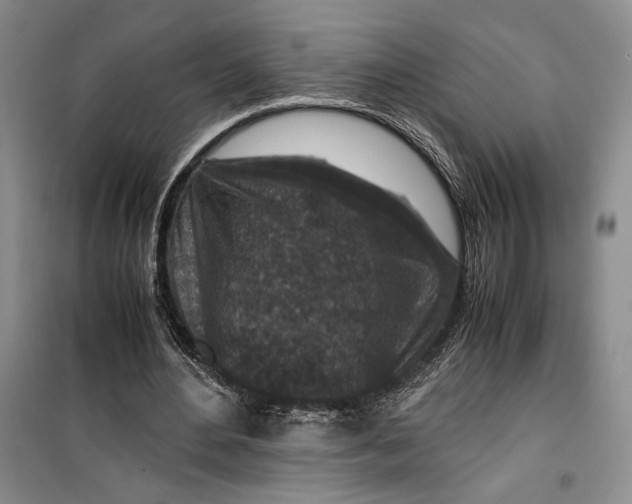 X0000099990484200806131438