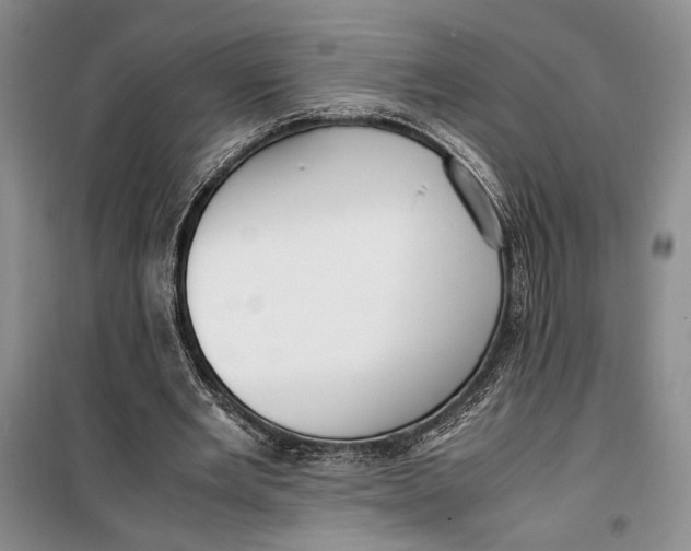 X0000099990485200806131438