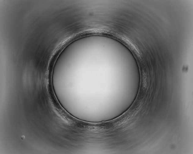 X0000099990486200806131438