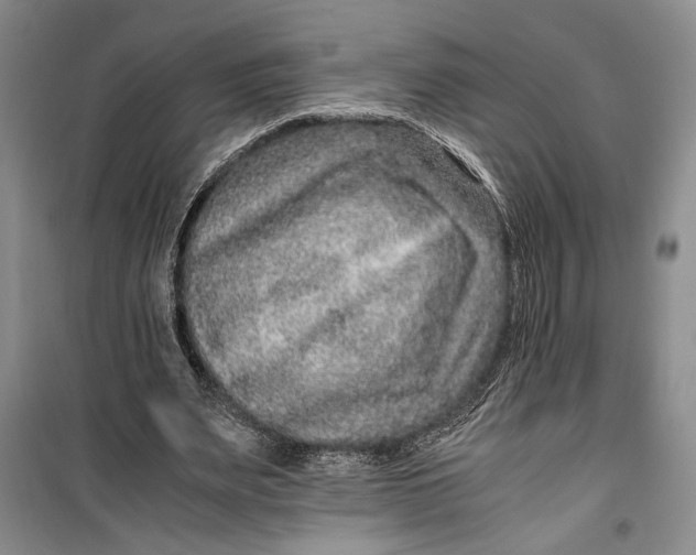 X0000099990487200806131438