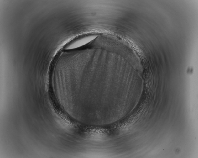 X0000099990488200806131438