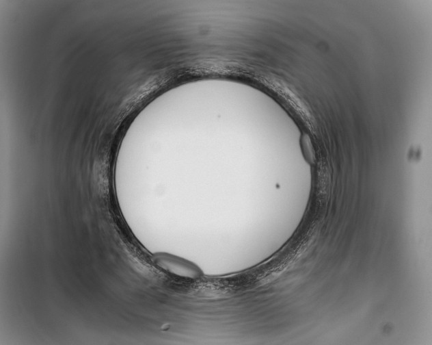 X0000099990489200806131438