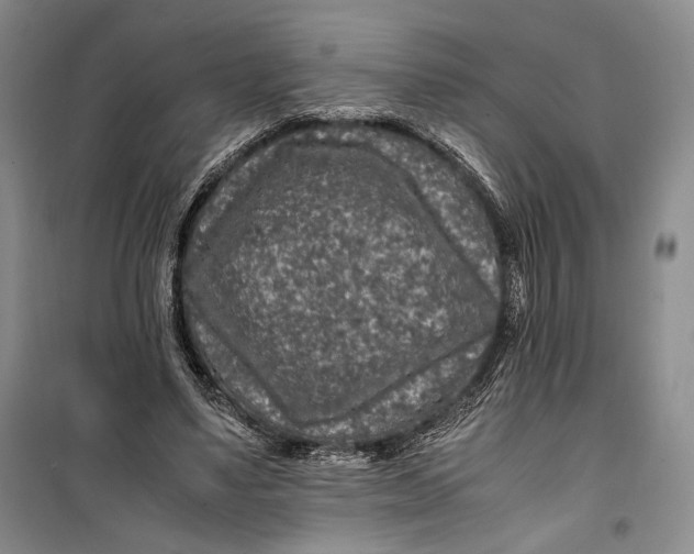 X0000099990491200806131438