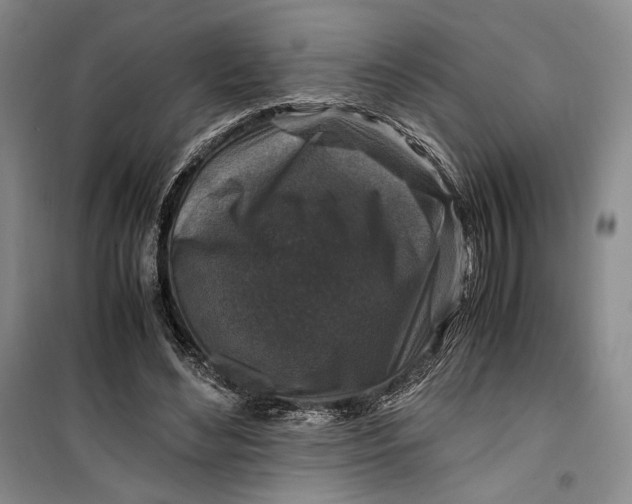 X0000099990492200806131438