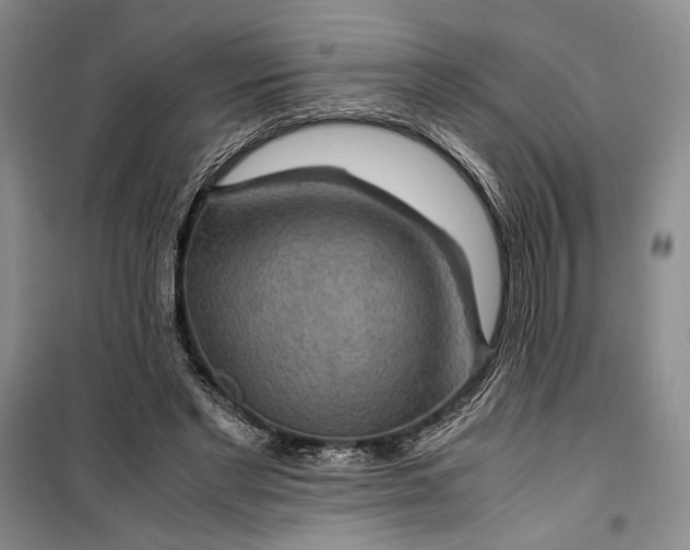 X0000099990493200806131438