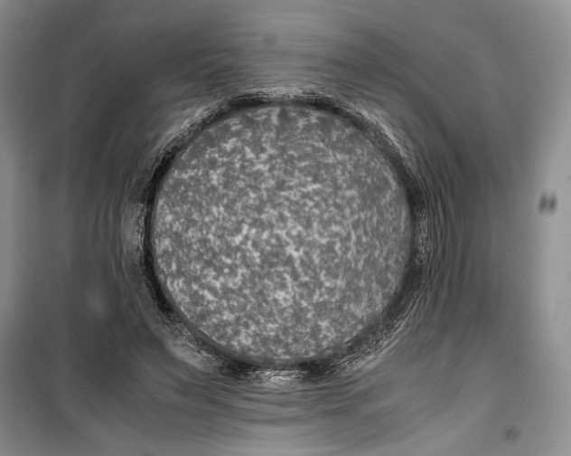 X0000099990495200806131438