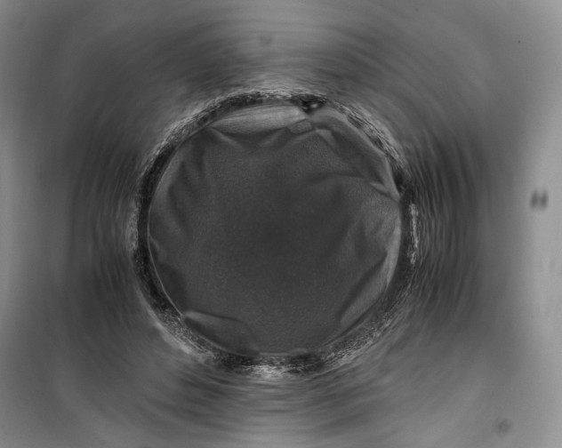 X0000099990496200806131438