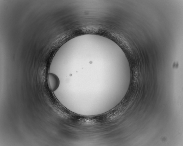 X0000099990498200806131438