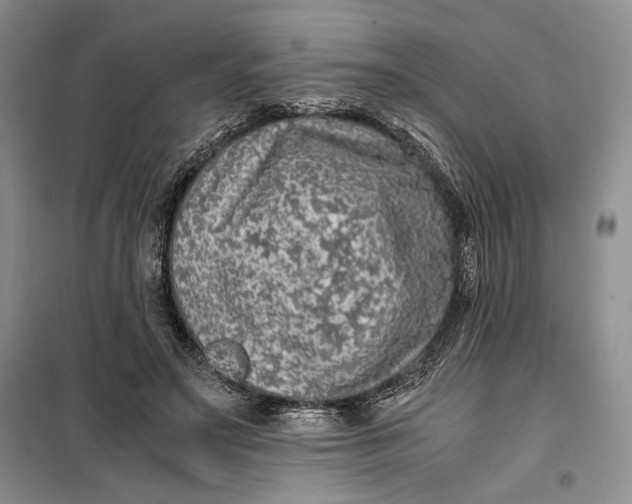 X0000099990499200806131438