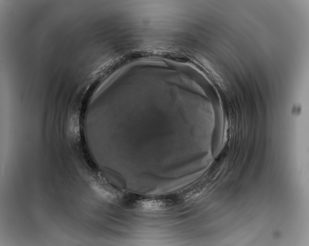 X0000099990500200806131438