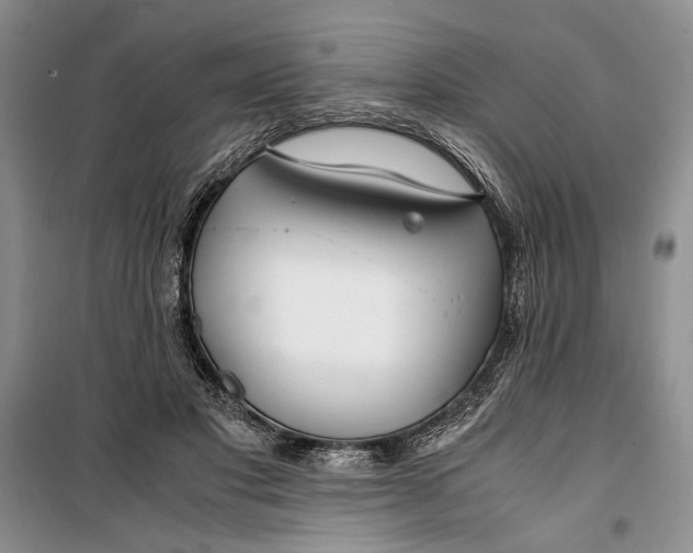 X0000099990501200806131438