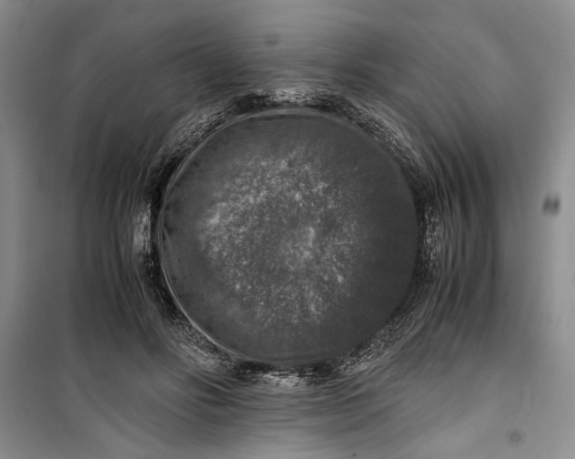 X0000099990502200806131438