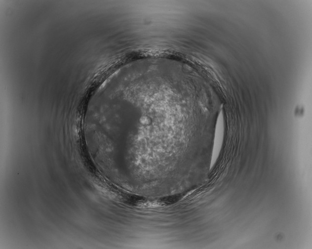 X0000099990503200806131438