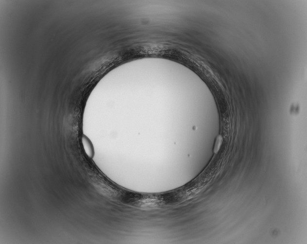 X0000099990505200806131438