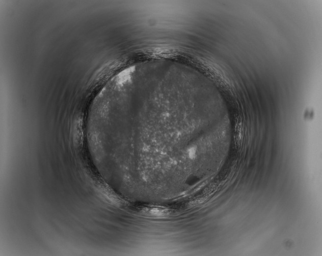 X0000099990506200806131438