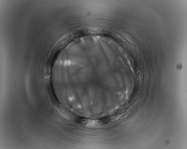 X0000099990507200806131438