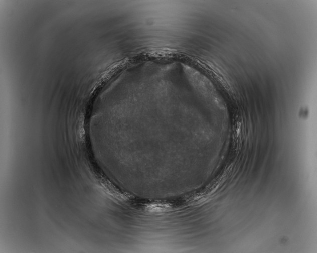 X0000099990508200806131438