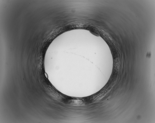 X0000099990509200806131438