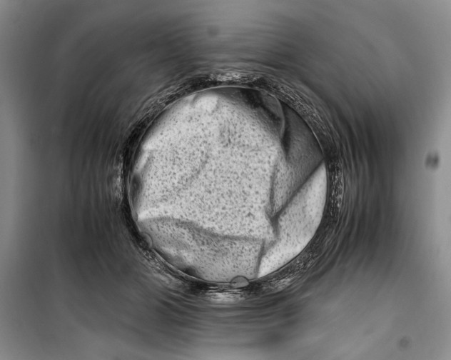 X0000099990510200806131438