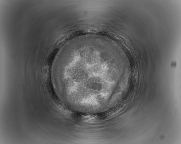 X0000099990511200806131438