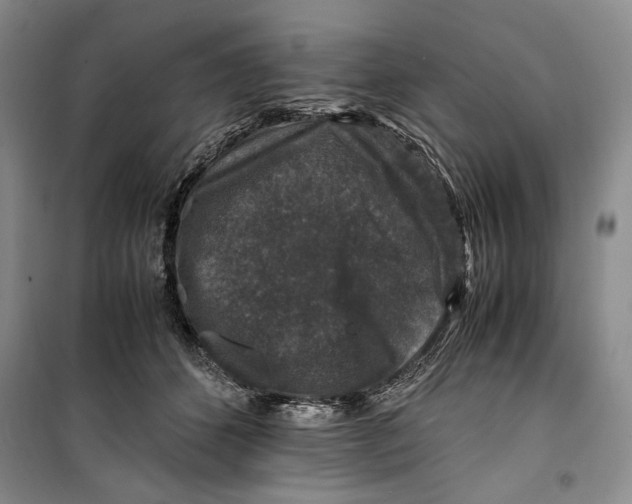 X0000099990512200806131438