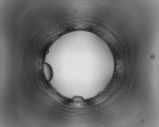 X0000099990514200806131438