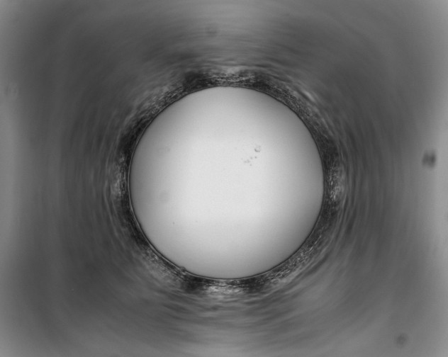 X0000099990515200806131438