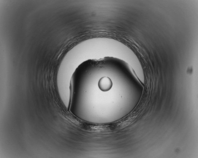 X0000099990516200806131438