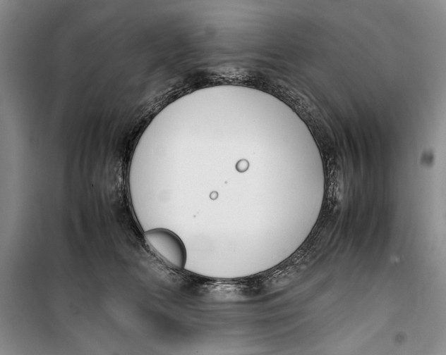 X0000099990518200806131438