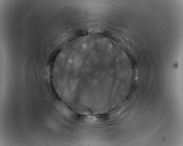 X0000099990519200806131438