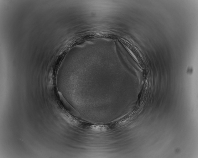 X0000099990520200806131438