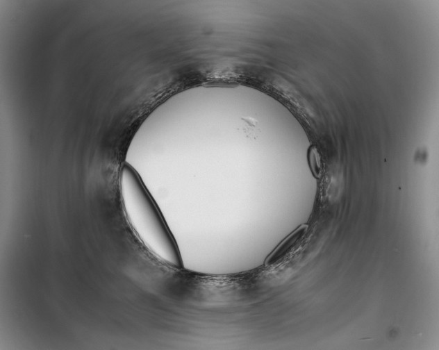 X0000099990521200806131437