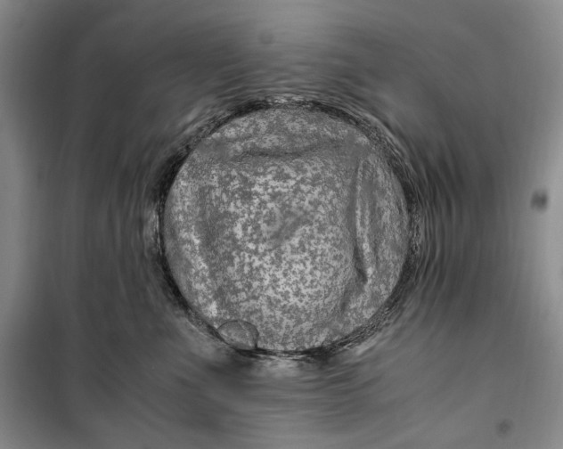 X0000099990523200806131437