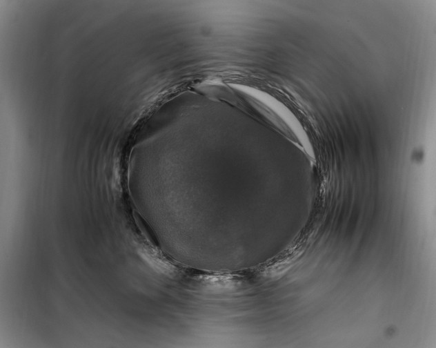 X0000099990524200806131437