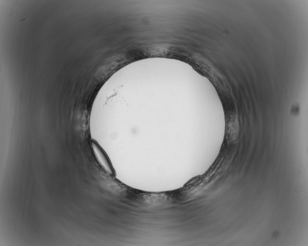 X0000099990525200806131437