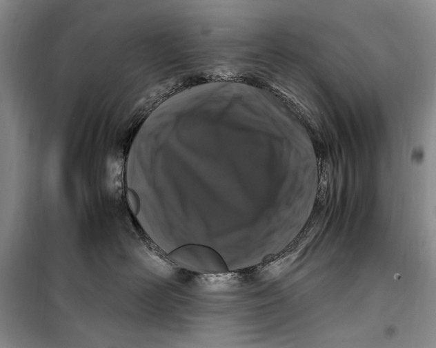 X0000099990526200806131437