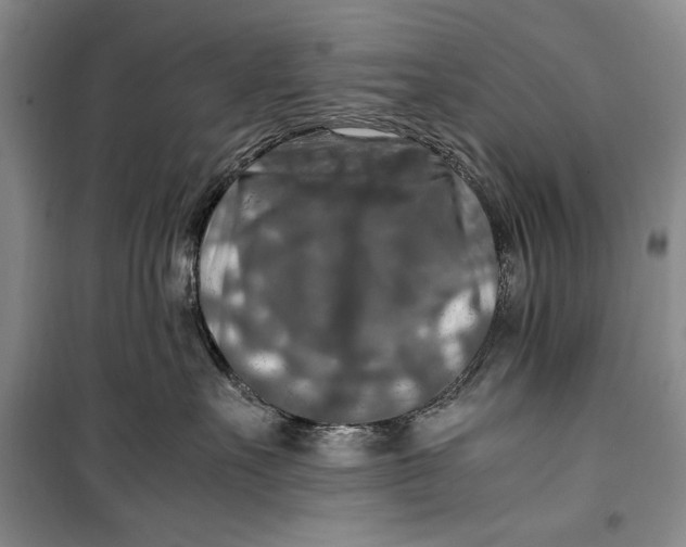 X0000099990527200806131437