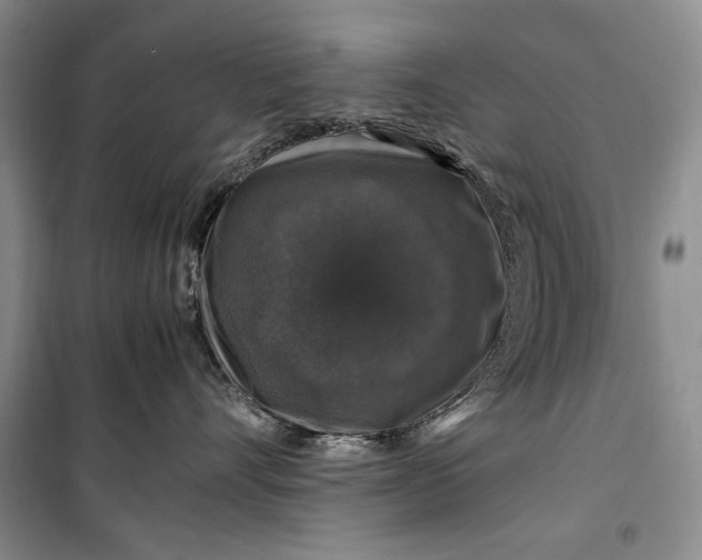 X0000099990528200806131437