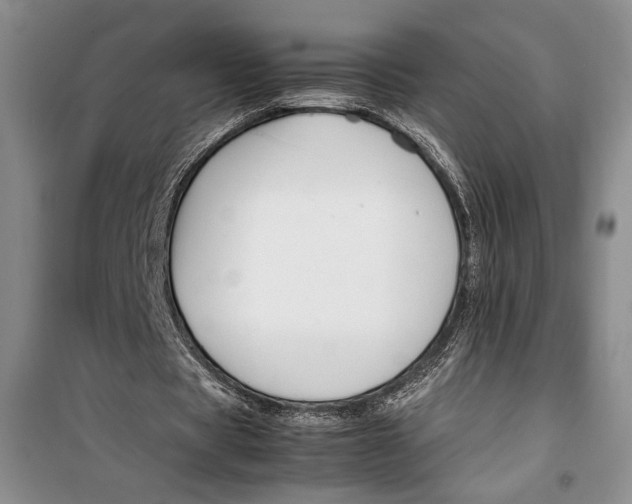 X0000099990529200806131437