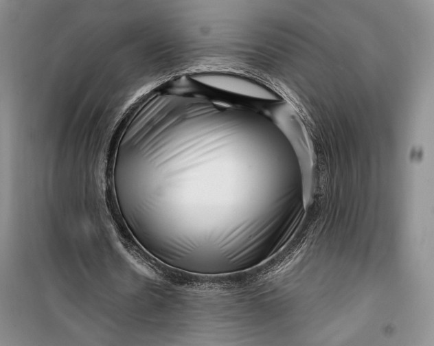 X0000099990530200806131437