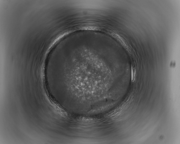 X0000099990531200806131437