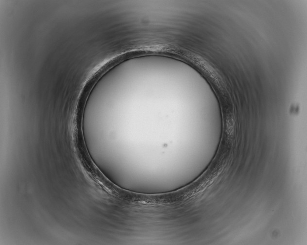 X0000099990532200806131437