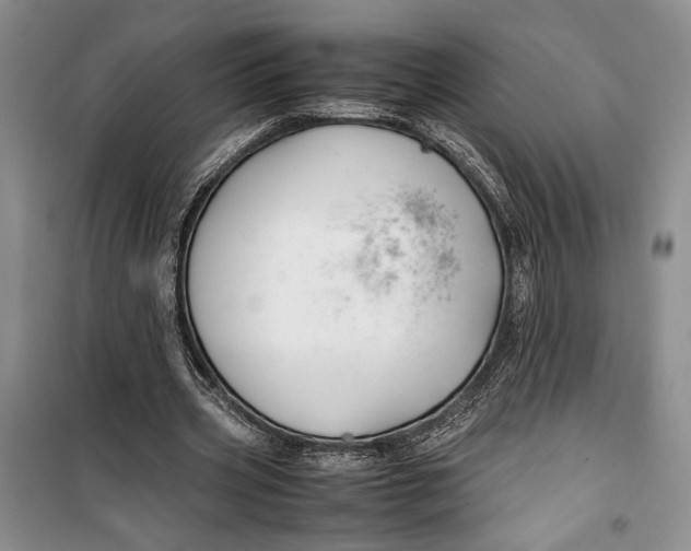 X0000099990533200806131437