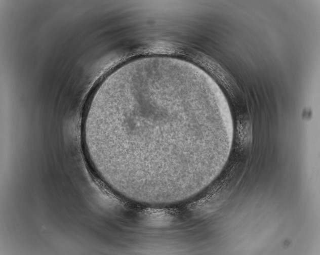 X0000099990534200806131437