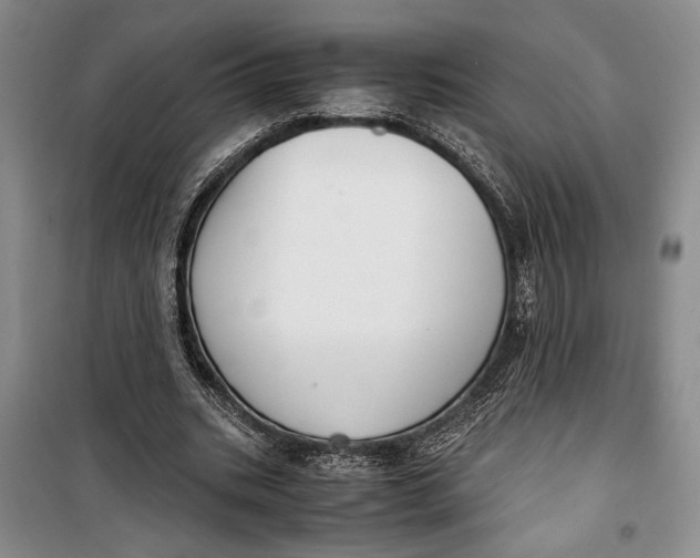 X0000099990535200806131437