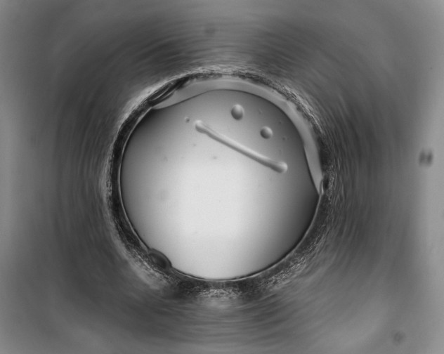 X0000099990536200806131437