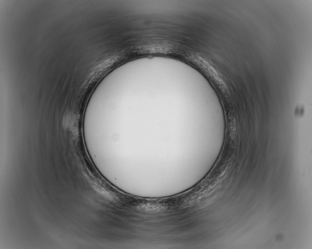 X0000099990537200806131437