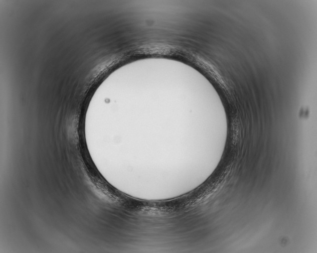 X0000099990538200806131437