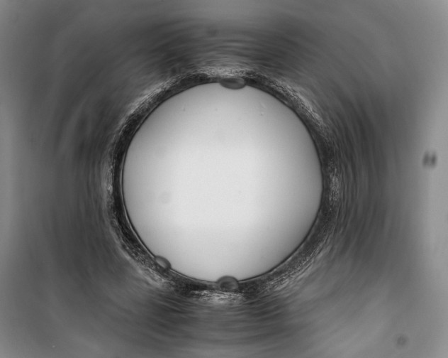 X0000099990539200806131437