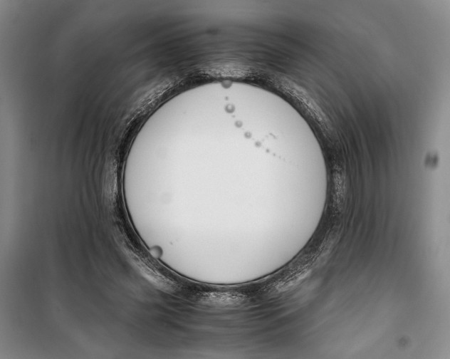 X0000099990541200806131437